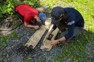 Students doing field research.